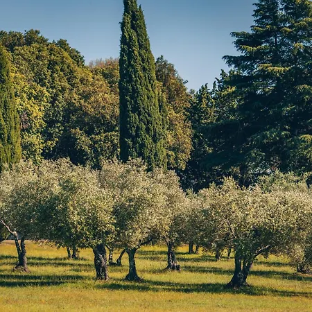 Maistra Koversada Uncovered Naturist Pitches Vrsar
